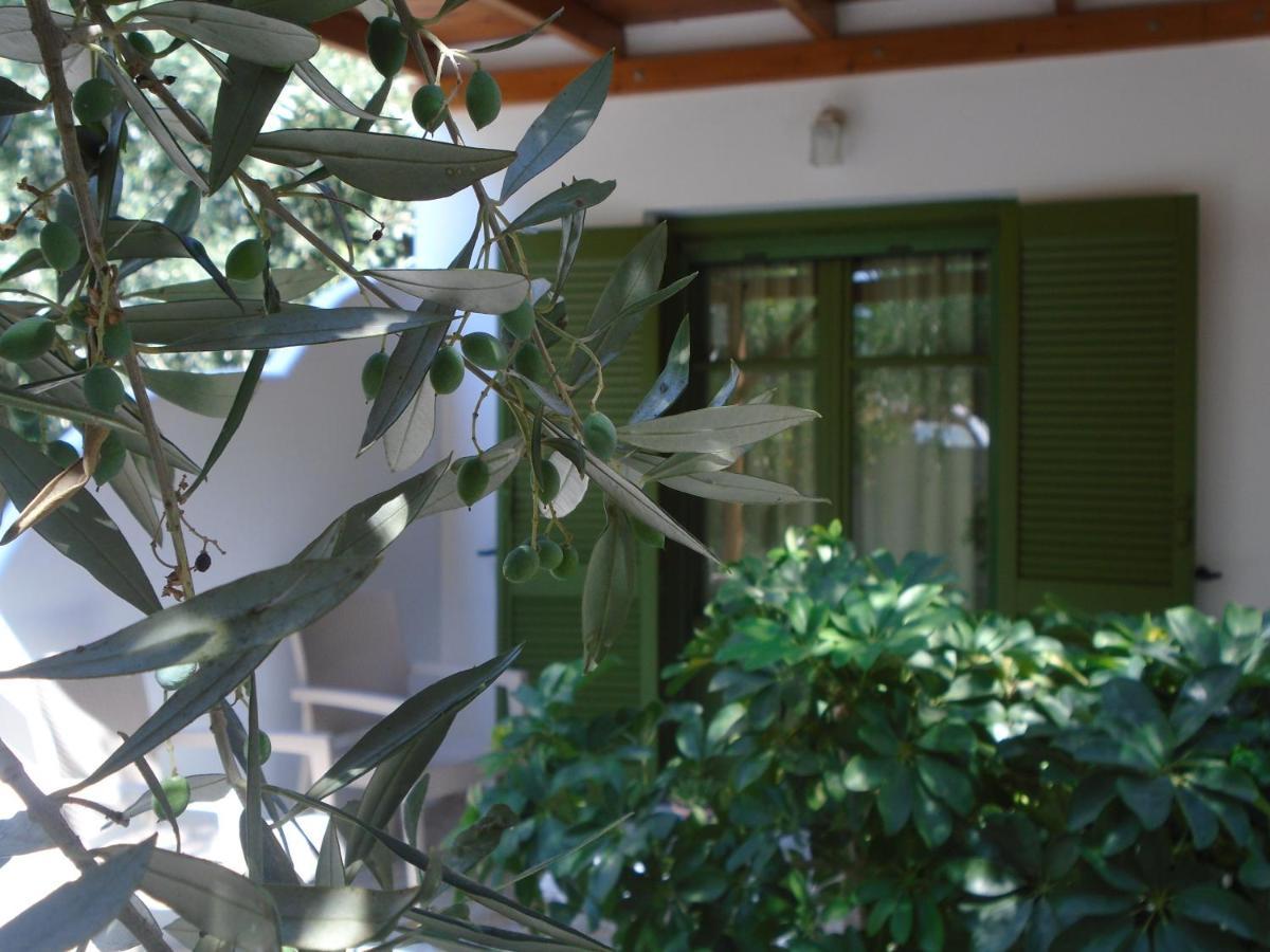 Leros Eleonas Apartments Alinda (Leros) Exterior foto