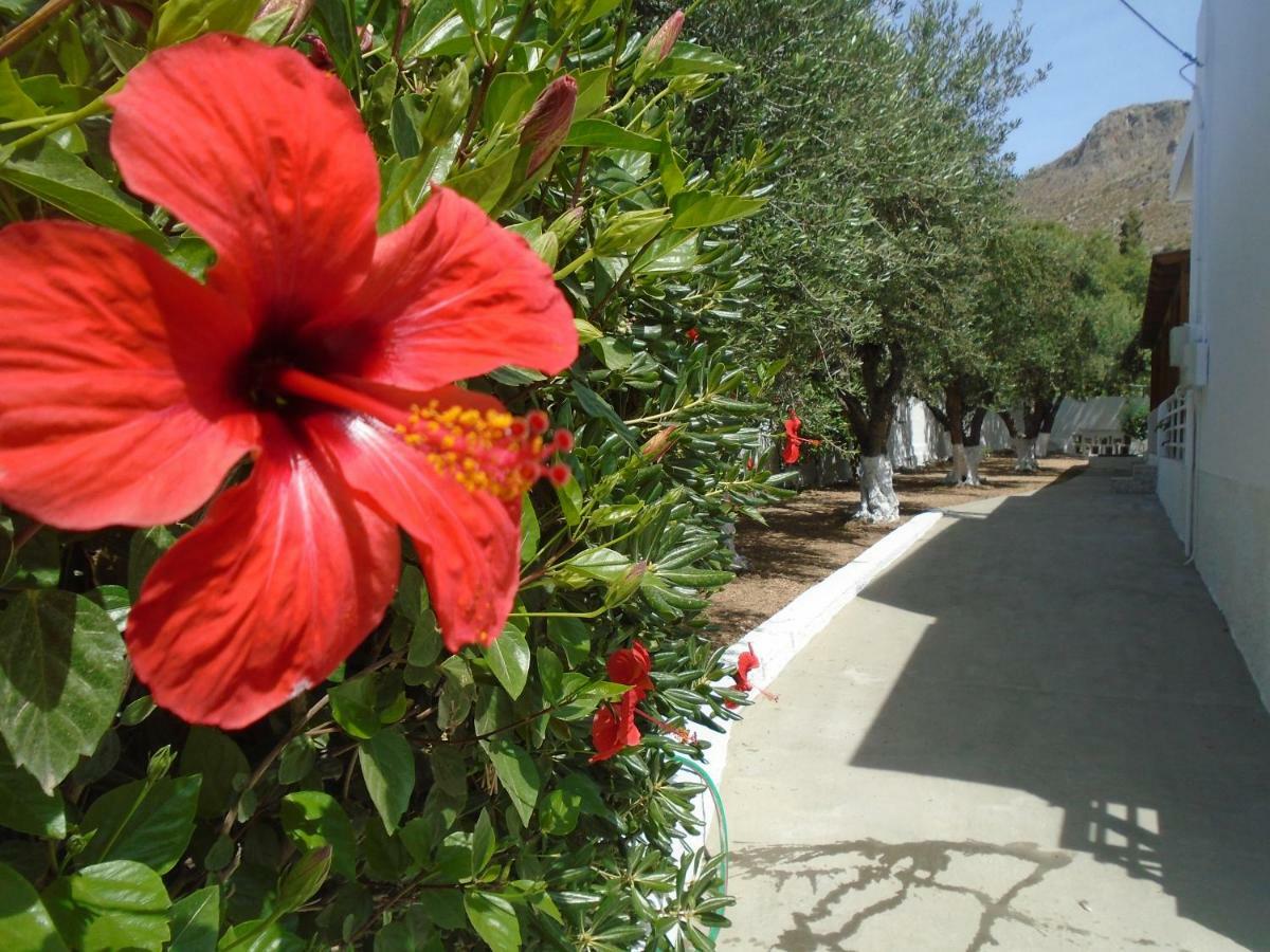 Leros Eleonas Apartments Alinda (Leros) Exterior foto